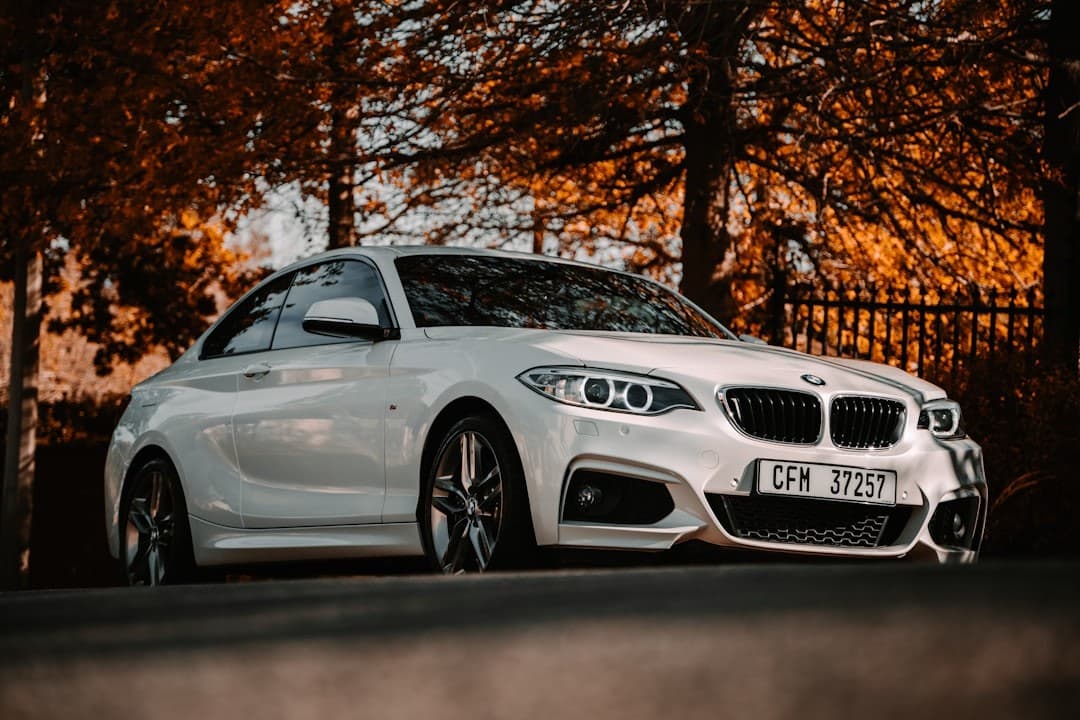 BMW M2 CS 525 cv: o último grande cupê a gasolina que também vira carro de corrida para clientes