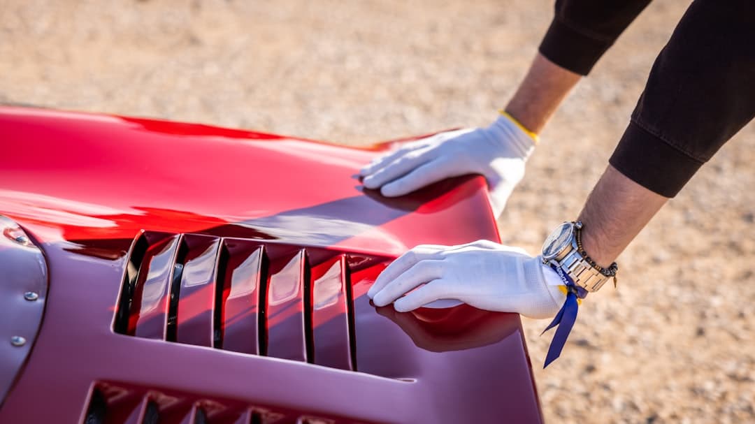 Remoção Segura de Manchas de Cocô de Pássaro, Seiva e Piche na Pintura Automotiva